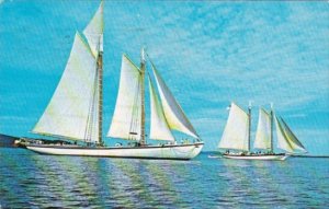 Sailing Windjammers Adventure and Stephen Tabor Camden Harbor Maine 1971