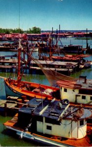 Mississippi Gulf Coast Shrimp Boats 1960