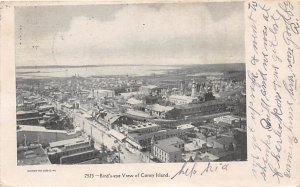 Bird's Eye View Coney Island, NY, USA Amusement Park 1907 