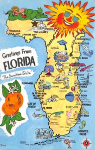 Greetings from Florida USA Postcard 1974