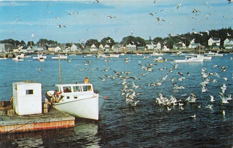 VINALHAVEN MAINE  STAUNCH CRAFT BOAT ARRIVES AT CARVER'S HARBOR POSTCARD c1960s