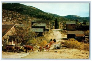 1965 Silver City Idaho Cattle Roam Street Ghost Town Vintage Antique ID Postcard