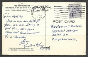 Hawaii - Red Anthuriums - [HI-003]