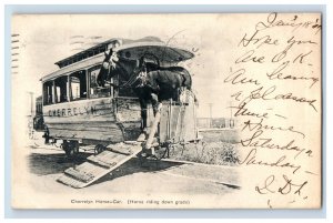 1900-06 Cherrelyn Horse-Car Postcard F150E