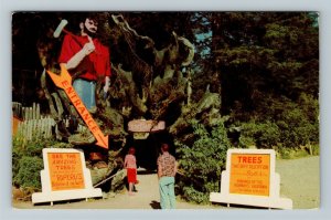 Redwood Hwy, CA-California Paul Bunyan Trees Of Mystery Vintage Chrome Postcard 