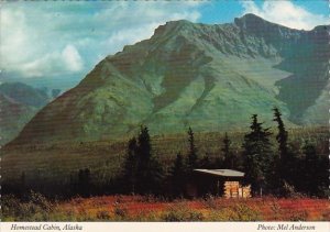 Homestead Cabin Alaska