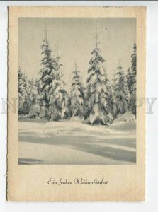 441428 Germany 1954 year winter forest trees in the snow RPPC Berlin label