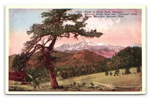 Vista In Estes Park Colorado Postcard Long's Peak Japanese Tree