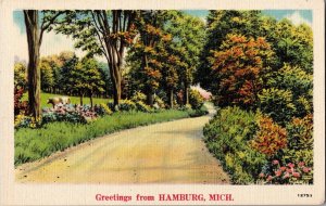 Scenic View, Greetings from Hamburg MI Vintage Postcard I60