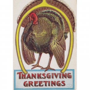 Huge Thanksgiving Greetings From One Big Turkey Postcard