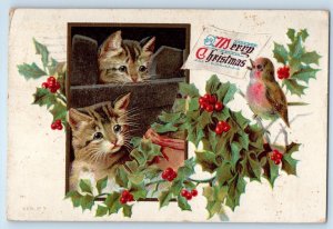Christmas Song Birds Holly Berries Cat Kittens Embossed New Rochelle NY Postcard