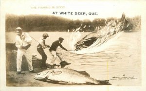 Canada Quebec White Deer fishing exaggeration RPPC Photo Postcard 22-7165