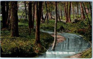 Nature Study High Park TORONTO Ont. CANADA Postcard