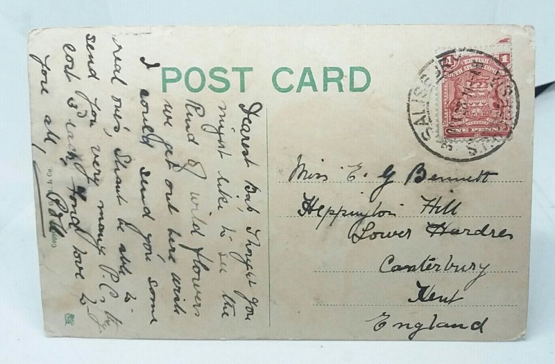 South African Wild Flowers Red Disa Vintage Postcard