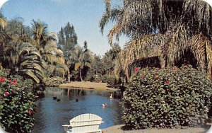 Sarasota Jungle Gardens  Sarasota FL