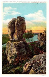 Postcard NATURE SCENE Savanna Illinois IL AP8751