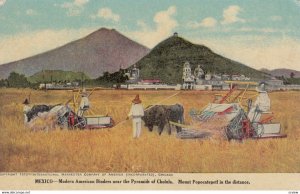 Farms ; MEXICO , Pyramids of Cholula , 00-10s