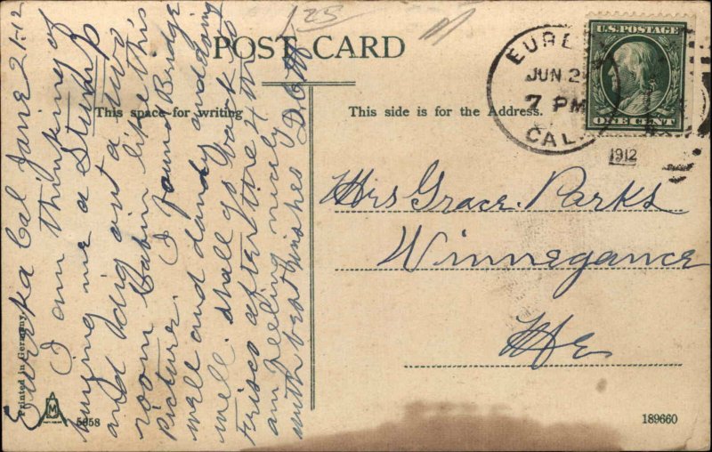 California CA Cedar Stump Residence 1900s-20s Postcard