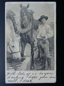 Rural Life WORKING HORSES At The Trough SHIRE HORSE c1903 UB Postcard