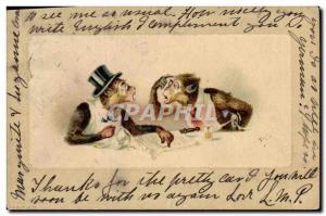 Postcard Old Monkey Monkey