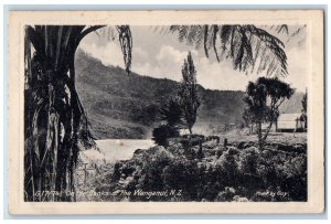 c1920's On The Banks of the Wanganui New Zealand Unposted Maoriland Postcard