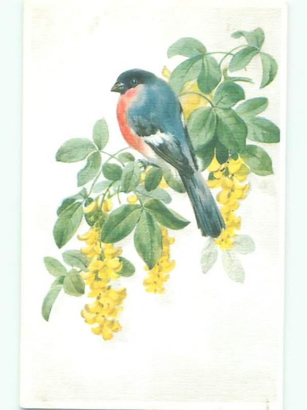 Pre-1980 Alfred Mainzer Postcard BLUE AND RED BIRD WITH YELLOW FLOWERS AC7077
