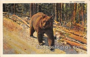 Hitch Hiker Bear 1937 