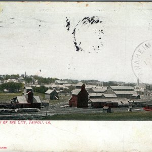 c1908 Tripoli, IA Birds Eye View Grain Elevators Downtown Buildings Kropp