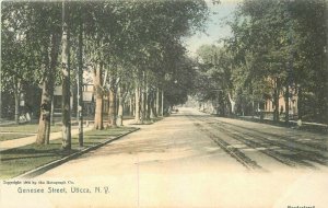 C-1905 Genesee Street Utica New York Rotograph hand colored Postcard 20-6104