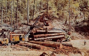 Loading redwood logs at Union lumber company Fort Bragg, California, USA Logg...