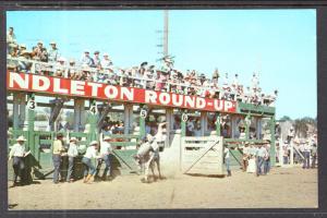 Pendelton Roundup,Pendelton,OR Rodeo BIN