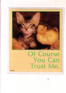 Peel Off Postcard Coaster, Kitten with Baby Chick, 'Of Course You Can Trust Me