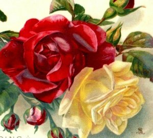 1880s Raphael Tuck Victorian Easter Card Beautiful Yellow & Red Roses P101