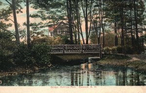 Roblin Park Bridge Historic Landmark CONCORD New Hampshire Vintage Postcard 1908