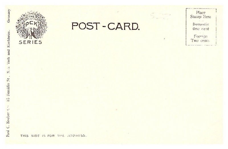 Pennsylvania  Harrisburg ,  Historic Camel Back Bridge