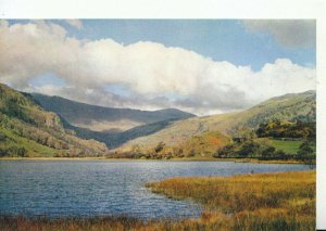 Wales Postcard - Llyn Gwynant - Caernarvonshire - Ref TZ8691