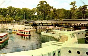 Florida Silver Springs Glass Bottom Boats