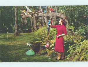 Chrome GARDENS SCENE Naples - Near Fort Myers Florida FL AH3911