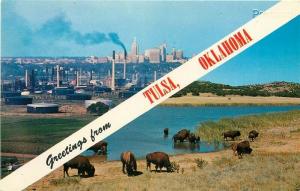 OK, Tulsa, Oklahoma, Skyline, Buffalo Herd, Chief No. 28083