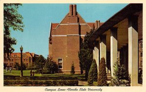 Florida State University Campus Scene From Outdoor Theatre Tallahassee FL