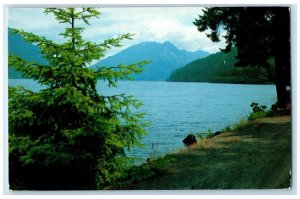 1989 Lake Crescent Storm King Mountain Olympic National Park Washington Postcard