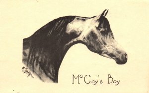 McCoy's Boy Horse