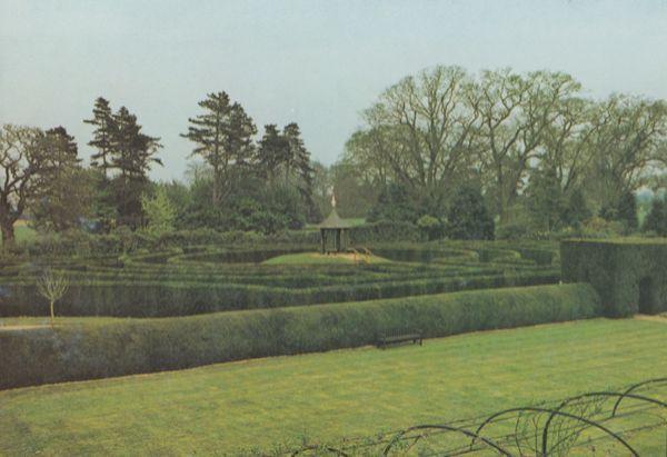 Lowestoft Maze Garden Puzzle Somerleyton Hall Suffolk Postcard