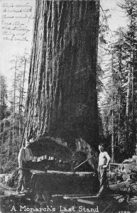 A Monarch's Last Stand Logging 1920 Eureka, CA RPO Vintage Postcard