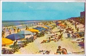 VA - Virginia Beach. Sunbathing