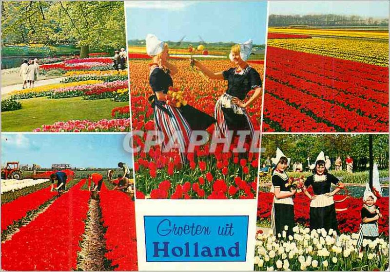 Modern Postcards Groeten uit Holland