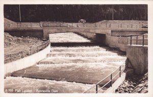 RPPC Oregon Postcard - Fish Ladder - Bonneville Dam
