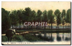 Old Postcard Amiens Park Hotoie Cow