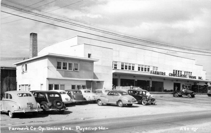 Automobiles Farmers CO-Op Union Inc Puyallup Washington 1940s RPPC Postcard 7930