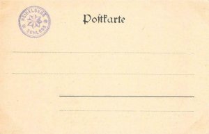 Heidelberg Schloss Das grosse Fass Heidelberg Tun wine vat 1900 Vintage Postcard